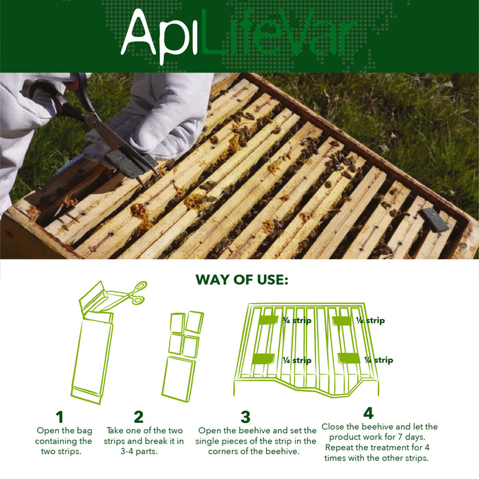 ApiLife Var Colony Protection Guide