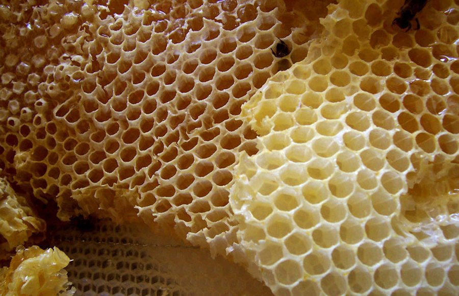 Harvesting Export-Grade Raw Honey in Nigeria