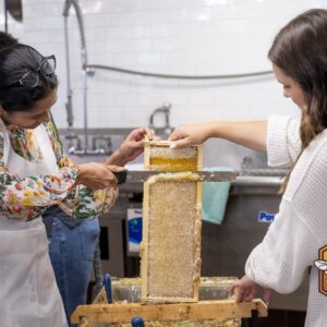 Honey Harvesting and Uncapping Comb Frame in Apiary Workshop