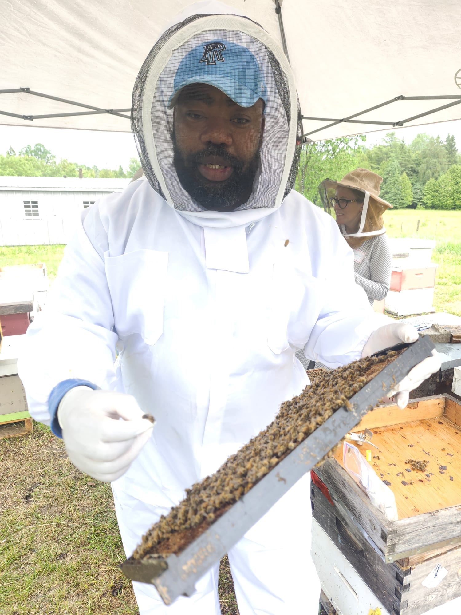 Thriving honeybee population inspection on Langstroth frame