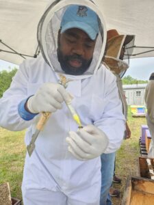 Taiwo Amoo inspecting developing queen cell